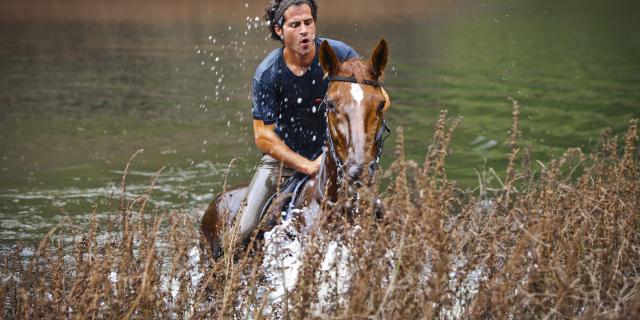 équitation île de la réunion