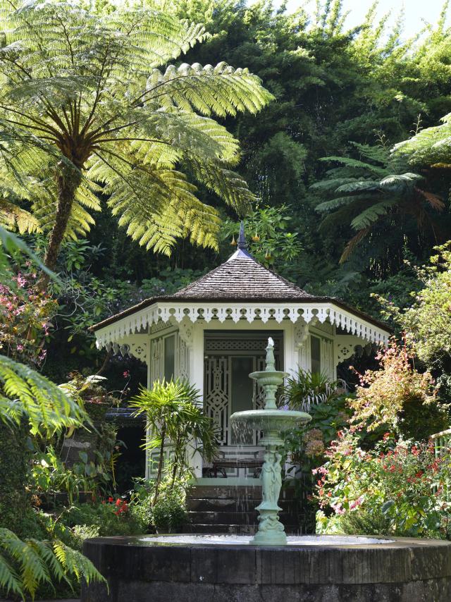 Les jardins botaniques La Réunion