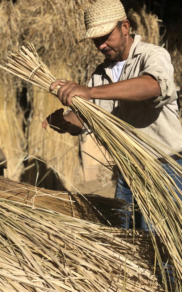 Travail Du Vetiver.jpg