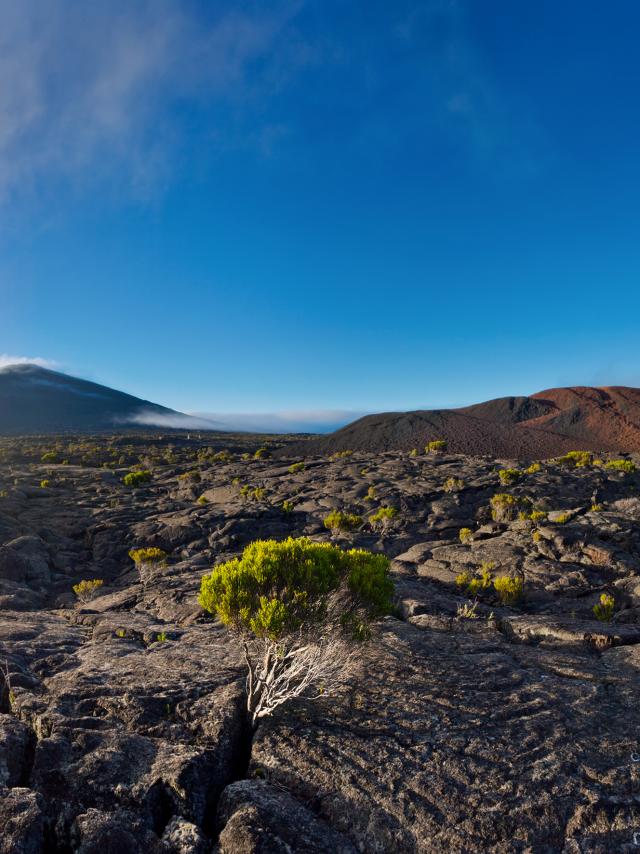 volcan02brumeenclosfouquepitondelafournaise01-creditirt-frog974photographiesdts06dts2015.jpg