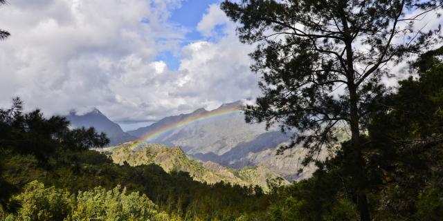 Randonnées à La Réunion.jpg