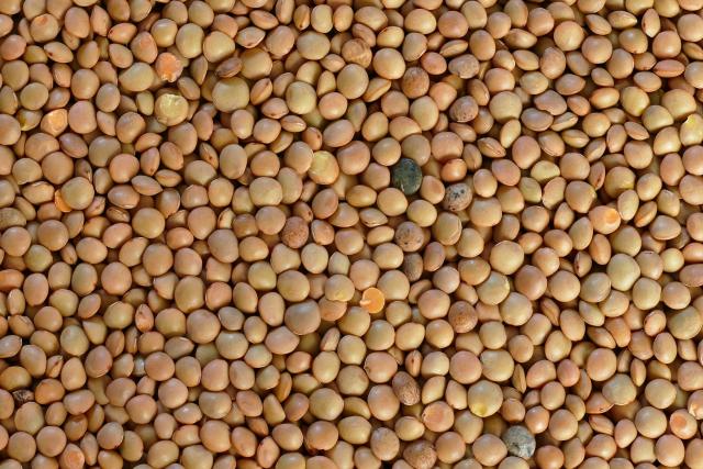 umbrian-mountain-lentils-5220018-1920.jpg