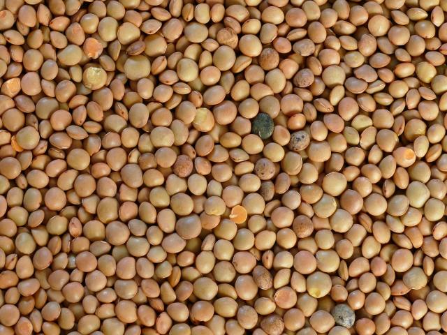 umbrian-mountain-lentils-5220018-1920.jpg