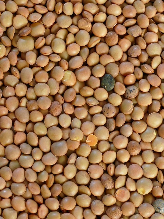 umbrian-mountain-lentils-5220018-1920.jpg