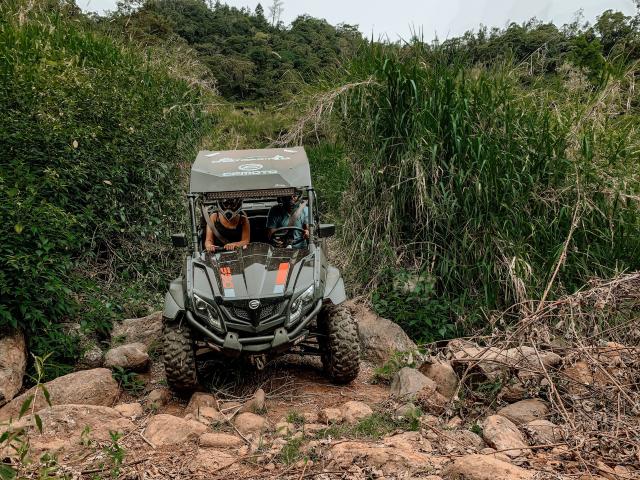 Buggy Canne Sud