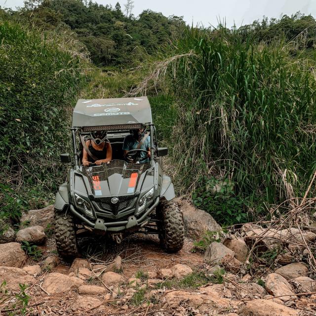 Buggy Canne Sud