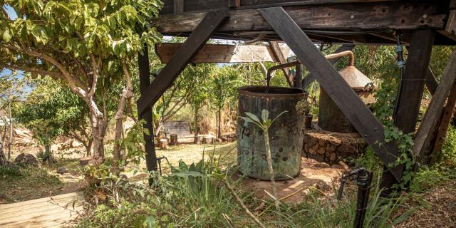 du-jardin-a-l-alambic-fontaine-aromatique-alambic.jpg