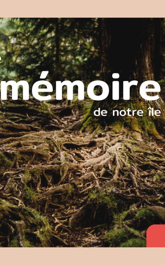 A la rencontre de la mémoire de notre île