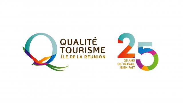 Logo QTIR 25ans