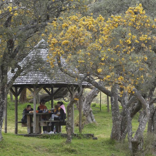 ambiance89_pique-nique_chemin_volcan-CREDIT-IRT-jean-luc_allegre_dts_06_2025.jpg