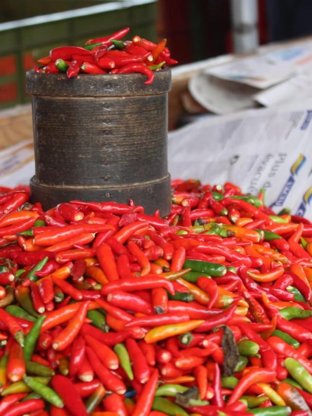 La-cote-Nord-Piments-rouges-neogusto.jpeg