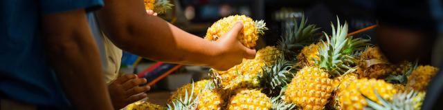 Itinéraire pour un Roadtrip Culinaire sur l'île de La Réunion - Ananas Marché Saint Paul Gael Fontaine