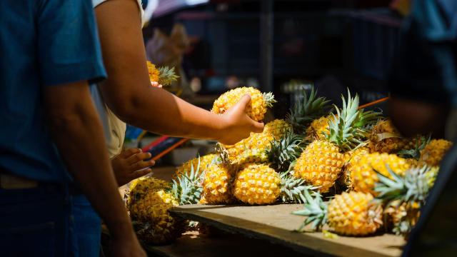 Roadtrip-culinaire-Ananas-Marche-saint-paul-Gael-Fontaine.jpeg