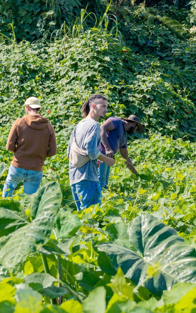 Une Journee Dans Les Bottes d'une famille d'agriculteurs