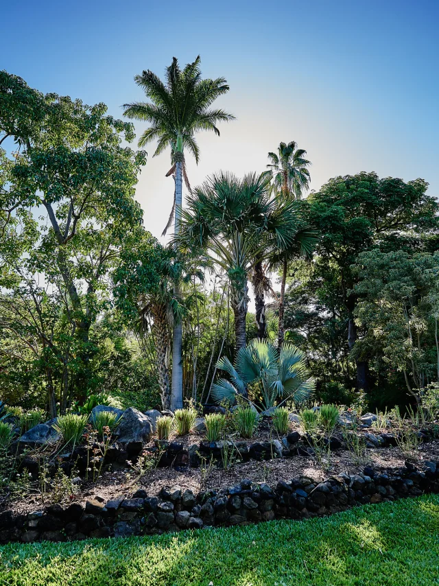 Jardin d'eden